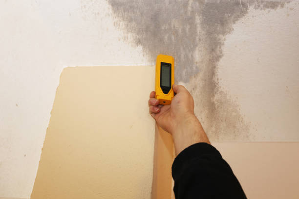 Trusted Tyndall, SD Mold Removal Experts