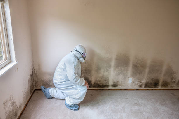 Best Commercial Mold Inspection  in Tyndall, SD